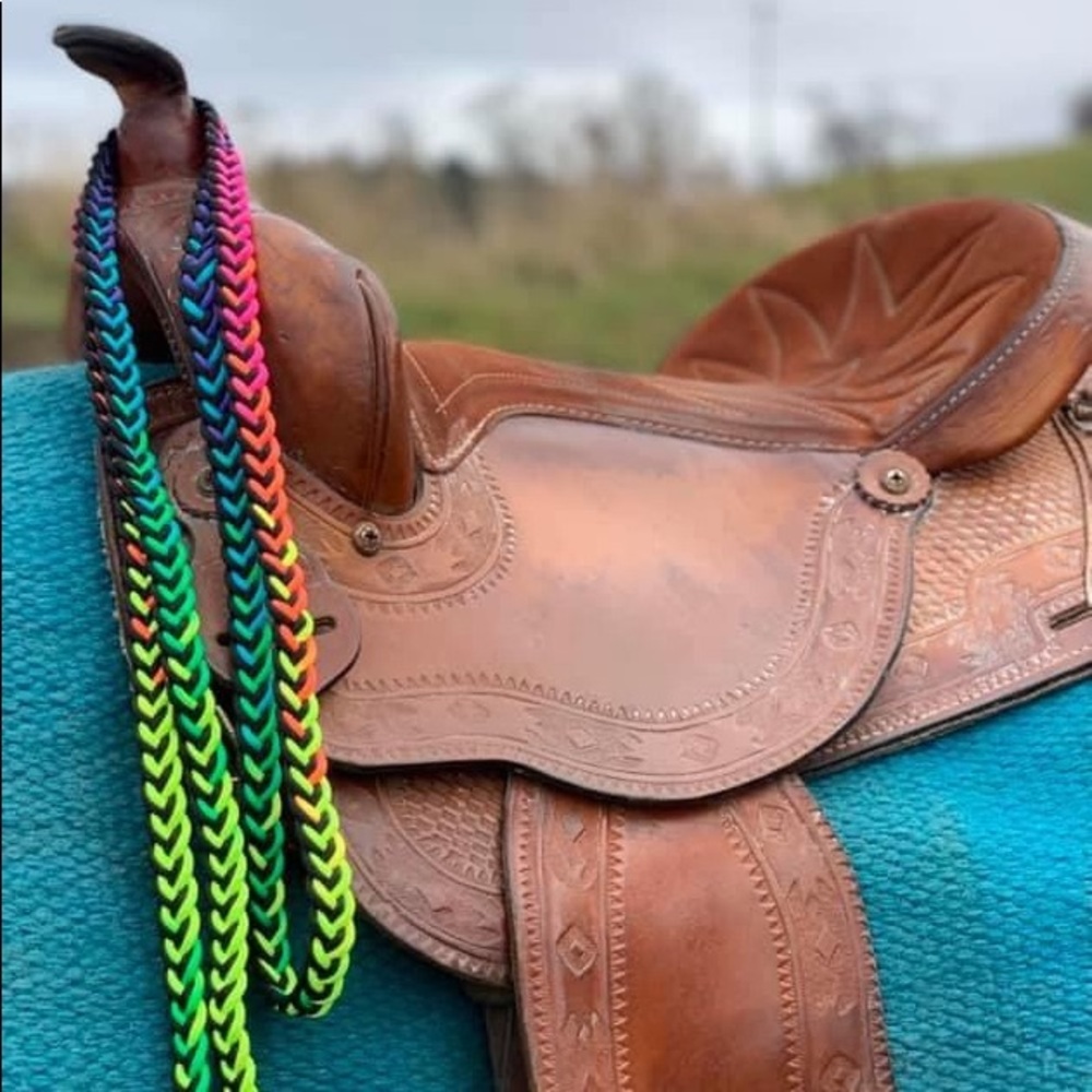 Black and rainbow color changing reins